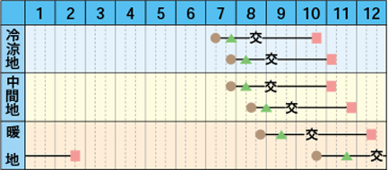 seine_akifuyu2_s.gif