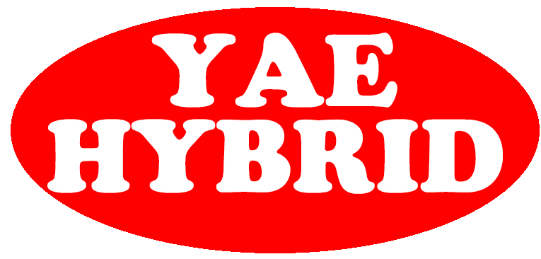 YAE HYBRID.gif