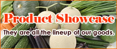 ProductShowcase