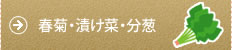 春菊・漬け菜・分葱